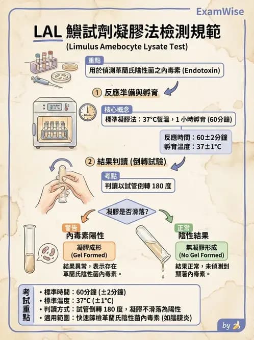 醫檢師 - 腦脊髓液檢查 - AI 圖文解析預覽