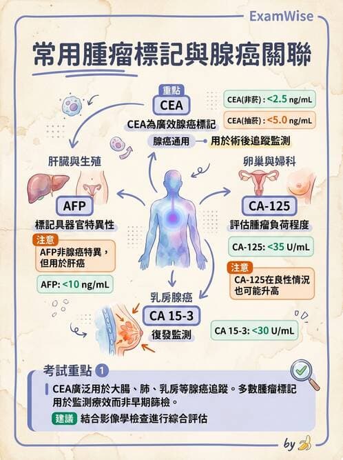 醫檢師 - 穿刺液檢查 - AI 圖文解析預覽