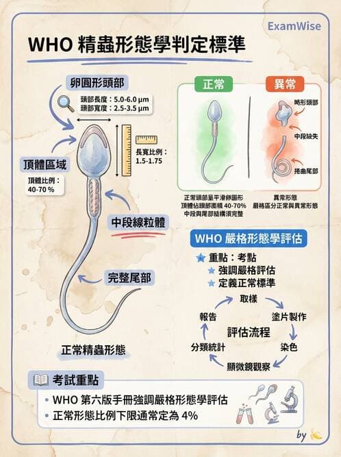 醫檢師 - 精液檢查 - AI 圖文解析預覽