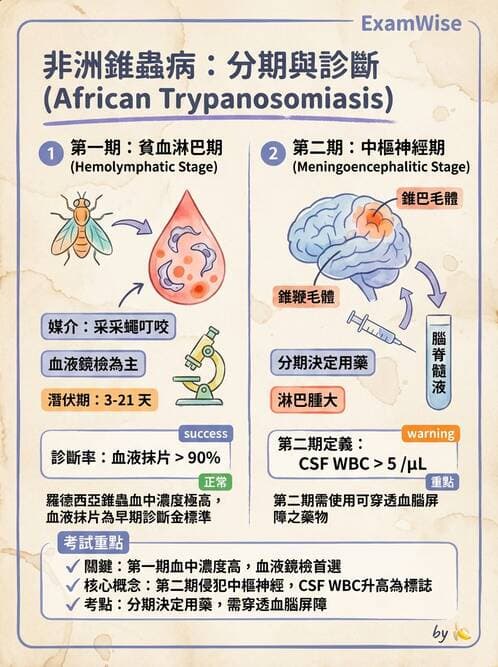 醫檢師 - 寄生蟲檢查-原蟲類 - AI 圖文解析預覽