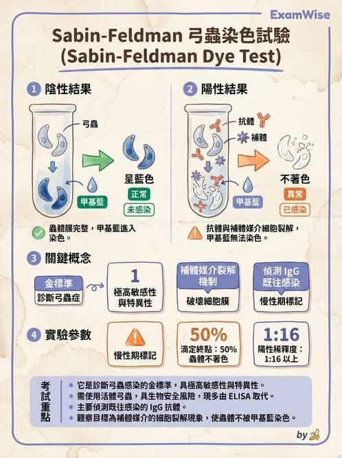 醫檢師 - 寄生蟲檢查-原蟲類 - AI 圖文解析預覽