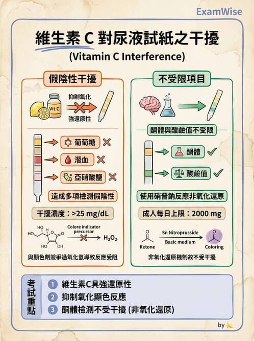醫檢師 - 鏡檢綜合性試題 - AI 圖文解析預覽