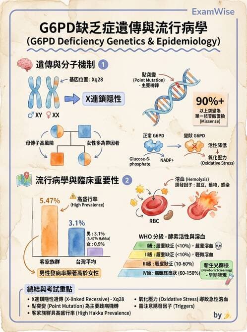 醫檢師 - 遺傳疾病基因檢測 - AI 圖文解析預覽