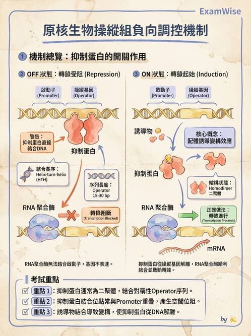 醫檢師 - 基礎分子生物學 - AI 圖文解析預覽