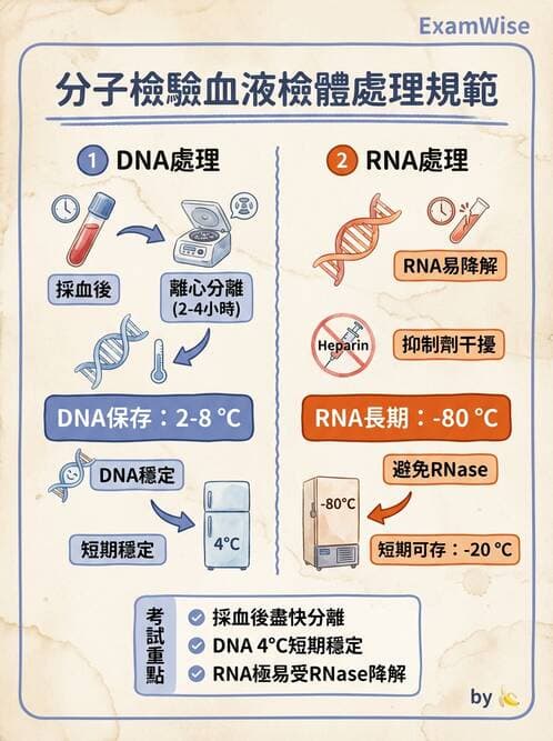 醫檢師 - 分子檢驗品質管理 - AI 圖文解析預覽