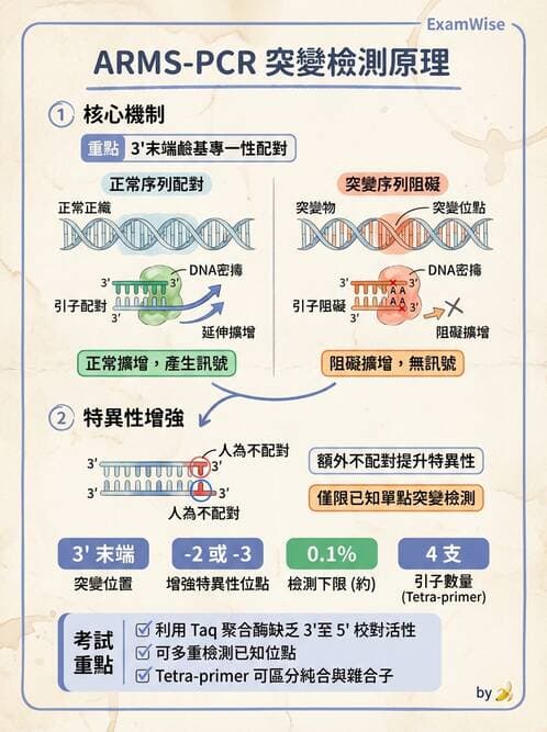 醫檢師 - 核酸擴增與萃取技術 - AI 圖文解析預覽