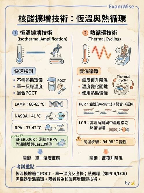 醫檢師 - 感染症分子檢驗 - AI 圖文解析預覽