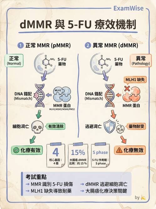 醫檢師 - 藥物相關基因檢測 - AI 圖文解析預覽