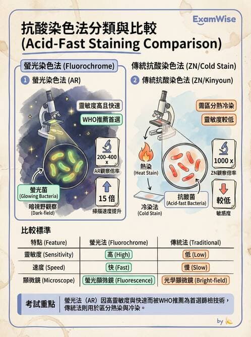 醫檢師 - 痰液一般鏡檢 - AI 圖文解析預覽