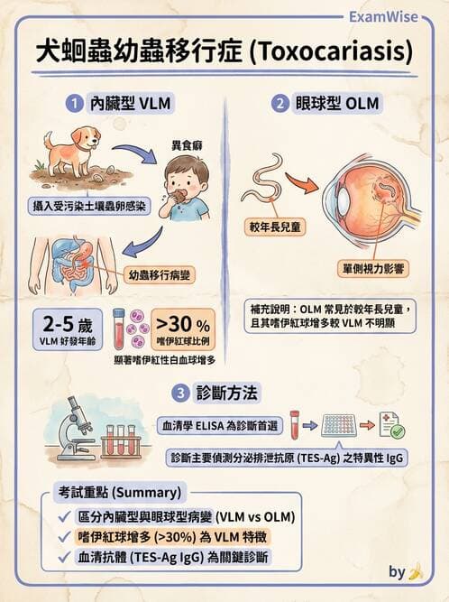 醫檢師 - 寄生蟲檢查-蠕蟲類 - AI 圖文解析預覽