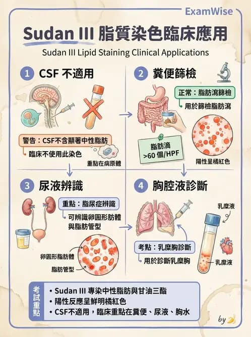 醫檢師 - 鏡檢綜合性試題 - AI 圖文解析預覽