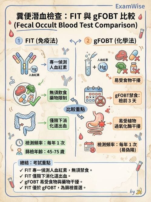 醫檢師 - 糞便常規檢查 - AI 圖文解析預覽