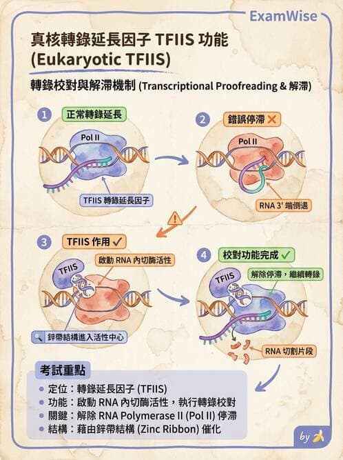 醫檢師 - 基礎分子生物學 - AI 圖文解析預覽