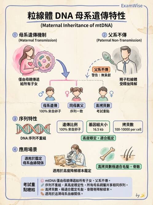 醫檢師 - 分子鑑定與應用技術 - AI 圖文解析預覽