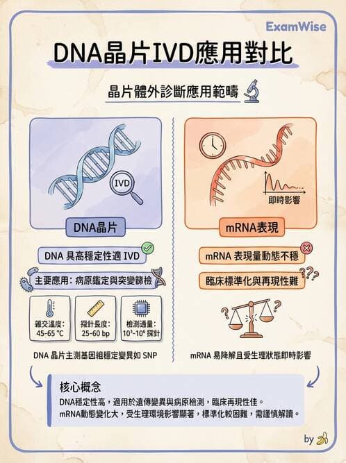 醫檢師 - 雜交探針與晶片技術 - AI 圖文解析預覽