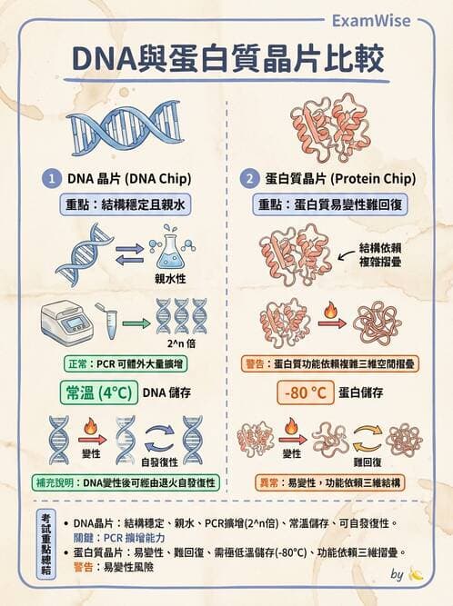 醫檢師 - 雜交探針與晶片技術 - AI 圖文解析預覽