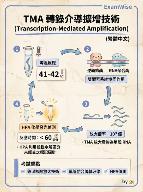 醫檢師 - 分子檢驗品質管理 - AI 圖文解析預覽