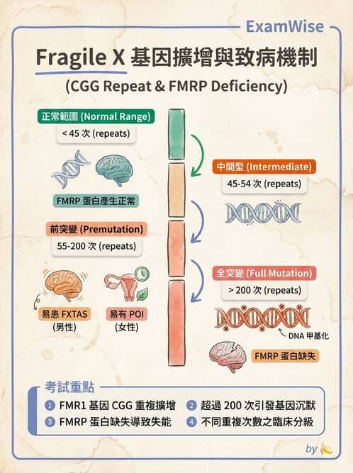 醫檢師 - 藥物相關基因檢測 - AI 圖文解析預覽