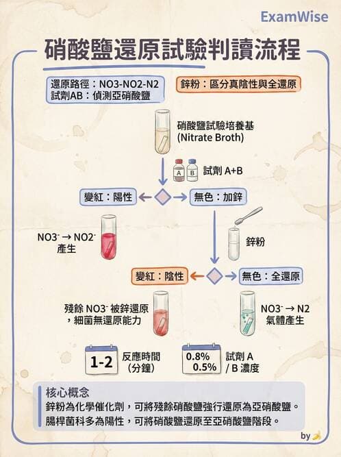 醫檢師 - 檢驗基礎技術 - AI 圖文解析預覽