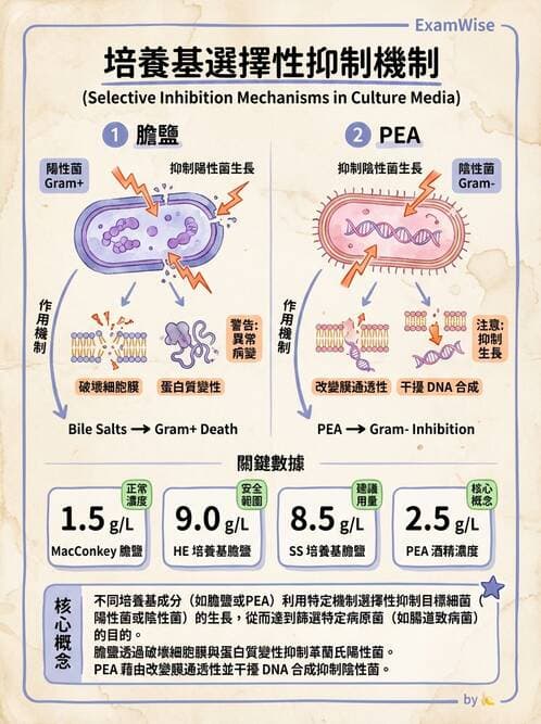 醫檢師 - 檢驗基礎技術 - AI 圖文解析預覽