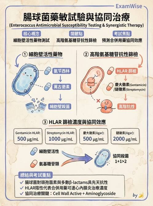 醫檢師 - 藥敏試驗方法 - AI 圖文解析預覽