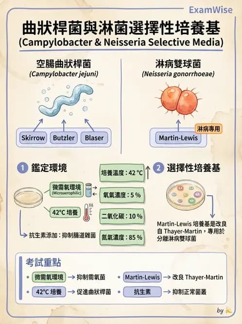 醫檢師 - 弧菌、氣單胞菌與彎曲菌 - AI 圖文解析預覽