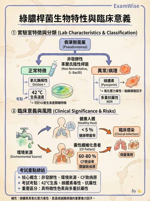 醫檢師 - 非發酵菌 - AI 圖文解析預覽