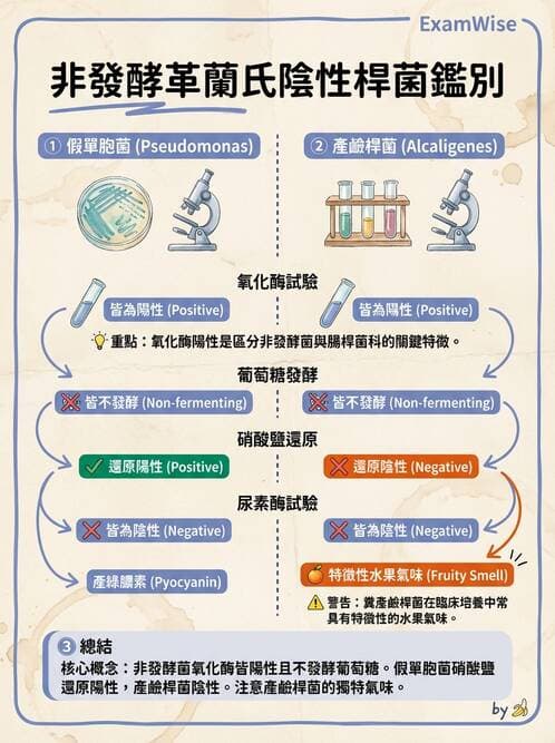 醫檢師 - 非發酵菌 - AI 圖文解析預覽