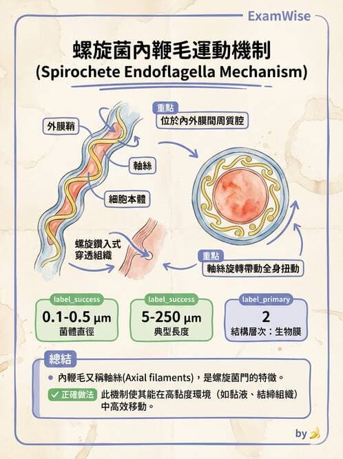 醫檢師 - 特殊病原體 - AI 圖文解析預覽