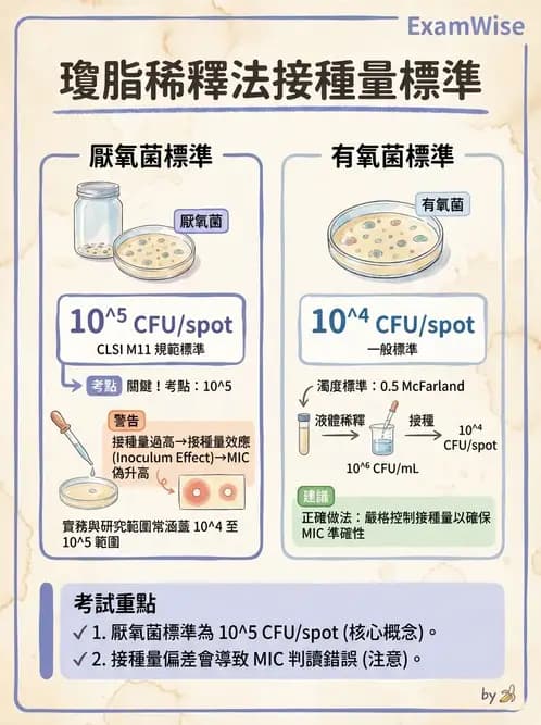 醫檢師 - 藥敏試驗方法 - AI 圖文解析預覽