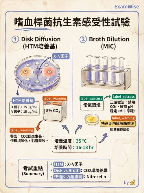 醫檢師 - 藥敏試驗方法 - AI 圖文解析預覽