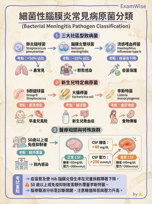 醫檢師 - 感染症與院內感染 - AI 圖文解析預覽