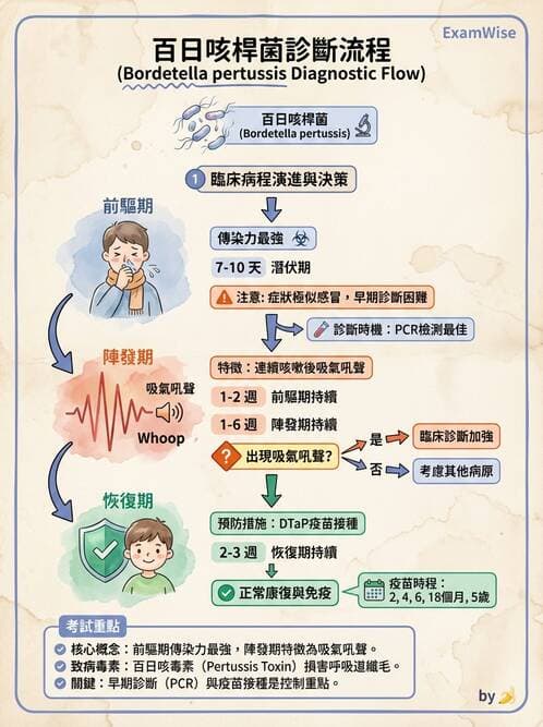 醫檢師 - 奈瑟菌與挑剔性革蘭氏陰性菌 - AI 圖文解析預覽