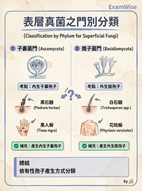 醫檢師 - 系統性與機會性真菌感染 - AI 圖文解析預覽