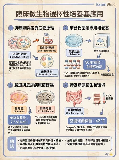 醫檢師 - 檢驗基礎技術 - AI 圖文解析預覽
