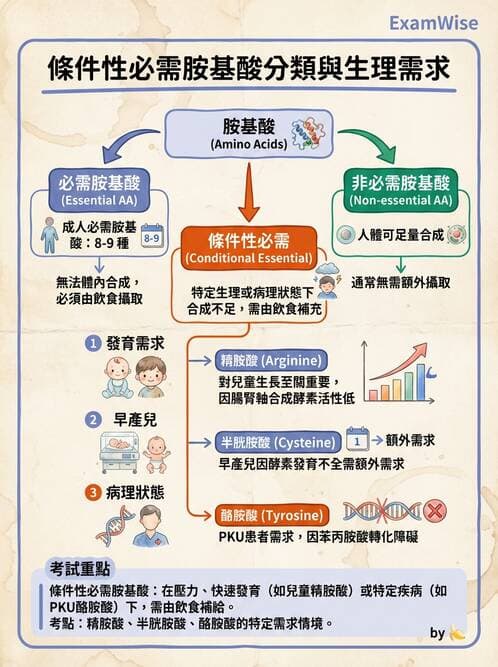 醫檢師 - 胺基酸代謝與先天性疾病 - AI 圖文解析預覽