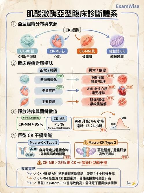 醫檢師 - 心肌標誌與心臟診斷 - AI 圖文解析預覽