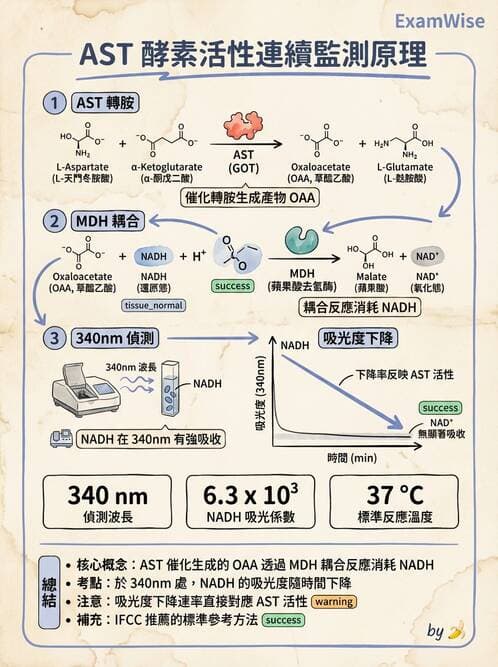 醫檢師 - 臨床酵素學基礎 - AI 圖文解析預覽