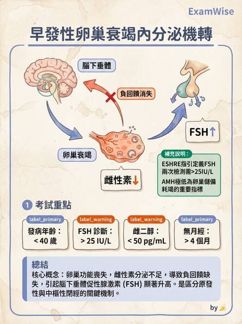 醫檢師 - 腎上腺與生殖內分泌 - AI 圖文解析預覽