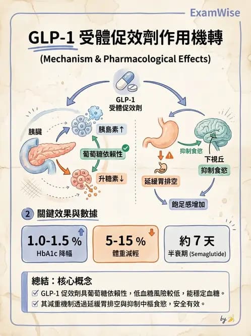 醫檢師 - 醣類代謝與糖尿病 - AI 圖文解析預覽