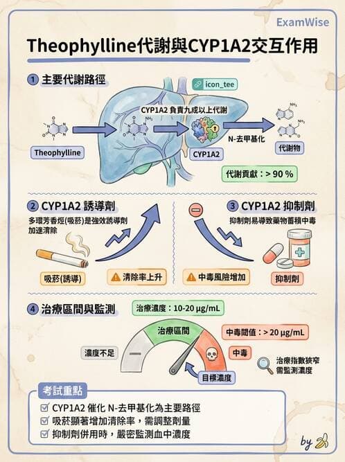 醫檢師 - 治療藥物監測與毒物學 - AI 圖文解析預覽