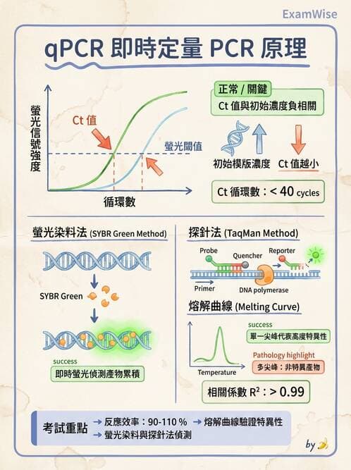 醫檢師 - 基本概念與儀器分析 - AI 圖文解析預覽