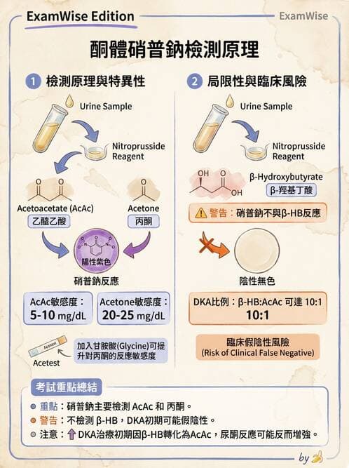 醫檢師 - 脂質代謝與酮體 - AI 圖文解析預覽
