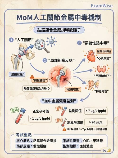 醫檢師 - 電解質與微量元素 - AI 圖文解析預覽