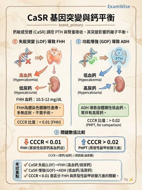 醫檢師 - 電解質與微量元素 - AI 圖文解析預覽