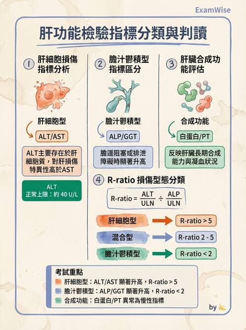 醫檢師 - 肝臟機能與胰臟酵素 - AI 圖文解析預覽