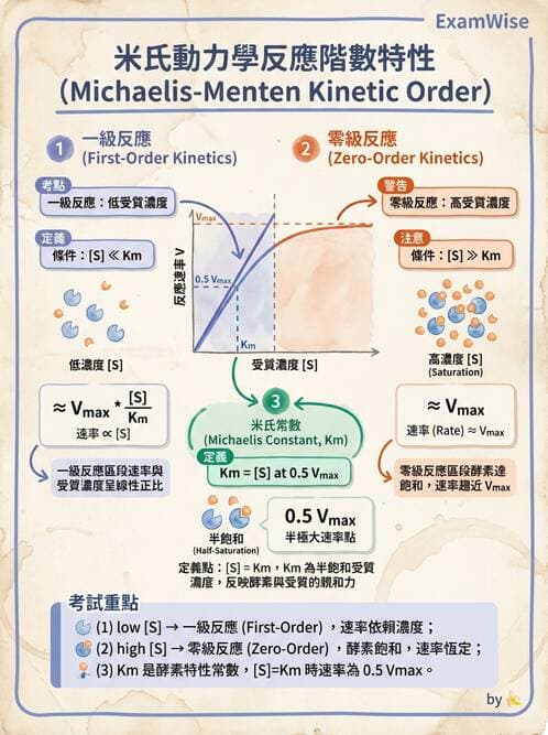 醫檢師 - 臨床酵素學基礎 - AI 圖文解析預覽