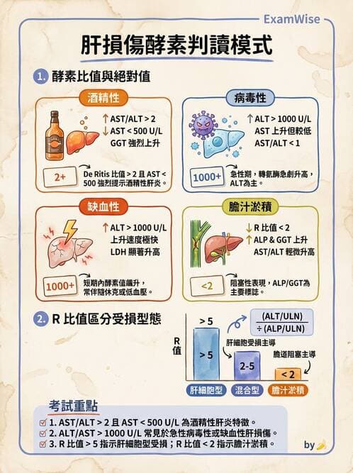 醫檢師 - 肝臟機能與胰臟酵素 - AI 圖文解析預覽
