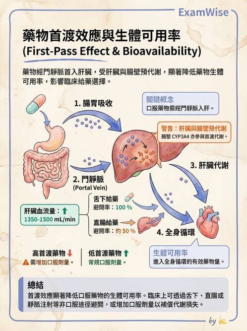 醫檢師 - 治療藥物監測與毒物學 - AI 圖文解析預覽