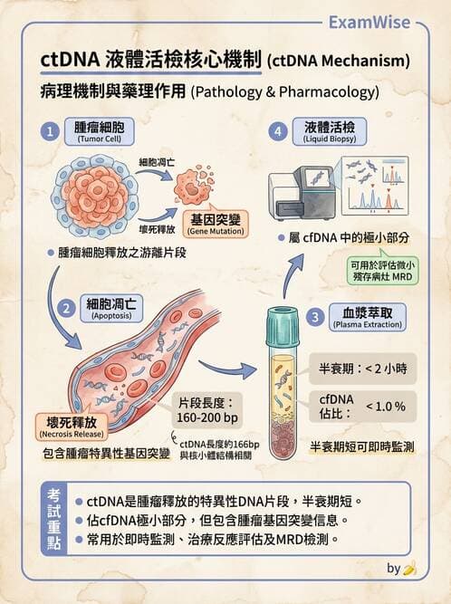 醫檢師 - 腫瘤標誌 - AI 圖文解析預覽